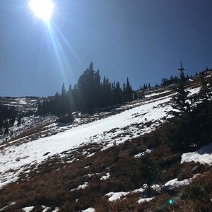 Meet your Posher, Luisa